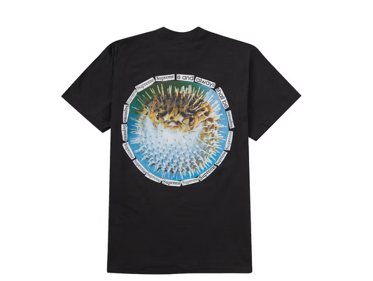 Supreme Blowfish Tee Black