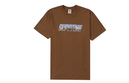 Supreme Gotham Tee Light Brown