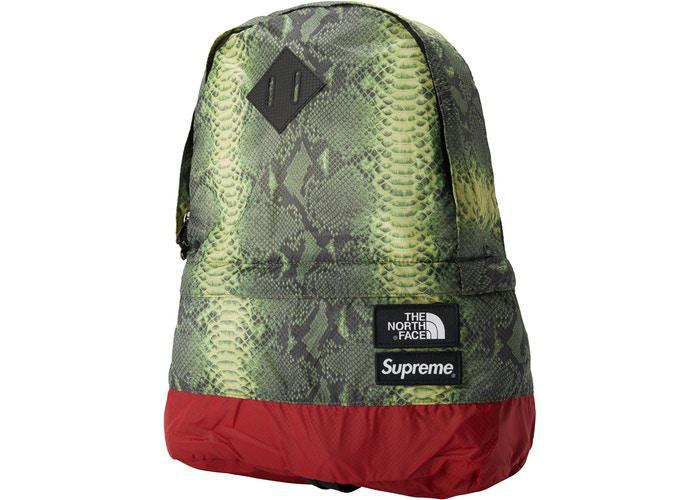 Supreme The North Face Snakeskin Lightweight Day Pack Green