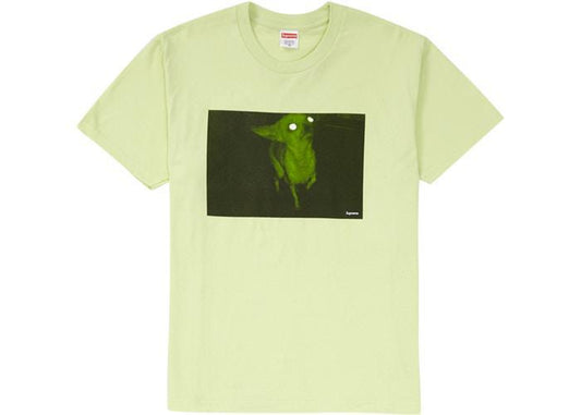 Supreme Chris Cunningham Chihuahua Tee Pale Mint