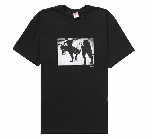 Supreme Daidō Moriyama Dog Tee Black