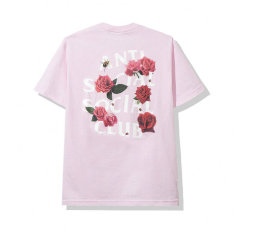 Anti Social Social Club Smells Bad Tee (FW19) Pink