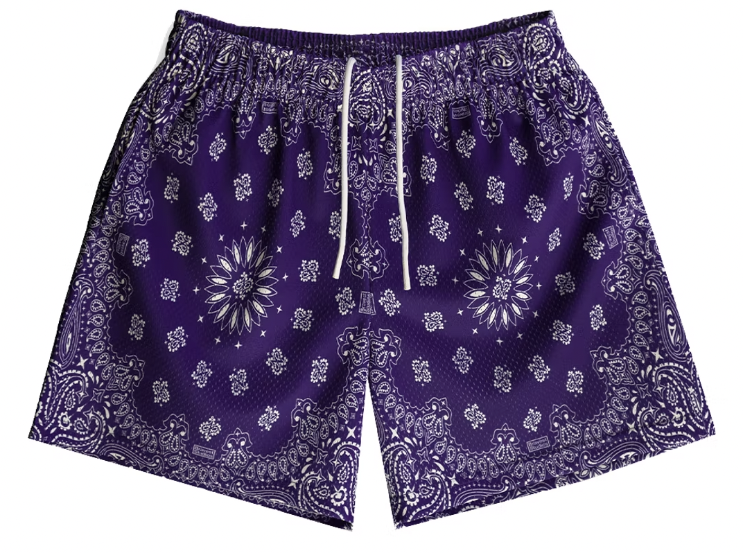 Bravest Studios Paisley Shorts Purple